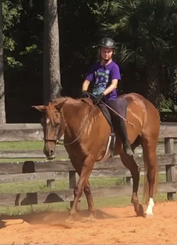 Camp life with Winnie the horse